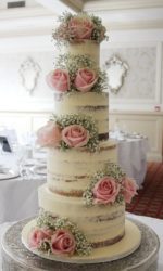 Semi Naked Cake with Pink Roses No.W316ap