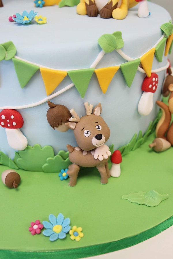 Woodland Birthday Cake No.K017 - Image 2