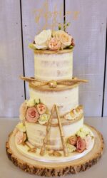 Harry Potter Semi Naked Cake No.W440aa