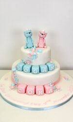 Pink and Blue Christening Cake for Twins No.CH022ab
