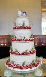 Semi Naked Cake with Winter Berries No.W439